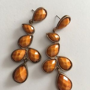 Amrita Singh Long Resin Drop Earrings